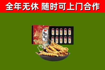 衡南县回收冬虫夏草价格