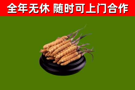 衡南县烟酒回收冬虫夏草.jpg