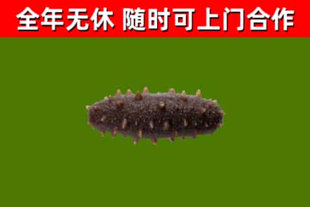 衡南县烟酒回收干海参.jpg
